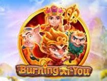 rtp wtobet|Kumpulan Demo & RTP Provider Slot Terlengkap .